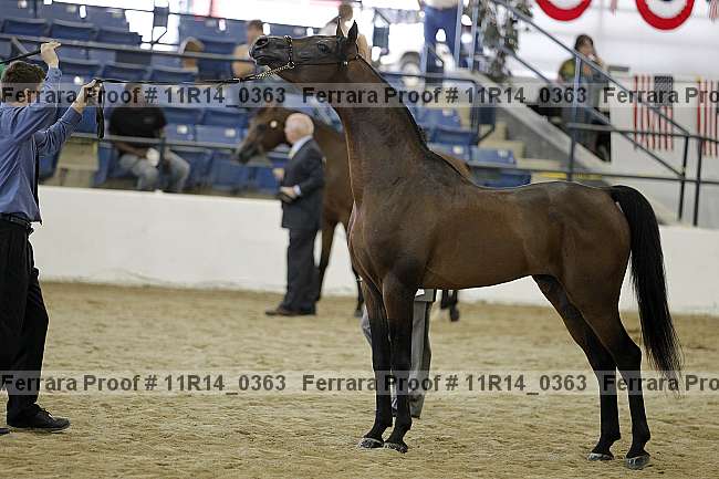 Proof Number 11r14_0363