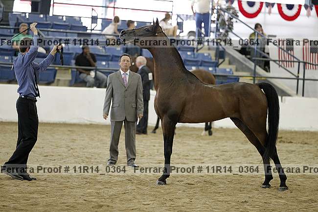 Proof Number 11r14_0364
