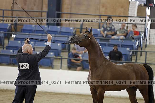 Proof Number 11r14_0371