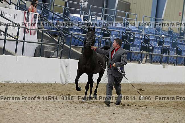 Proof Number 11r14_0396