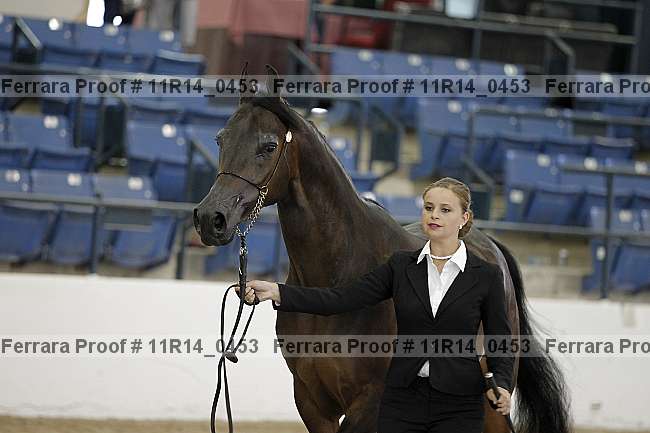 Proof Number 11r14_0453