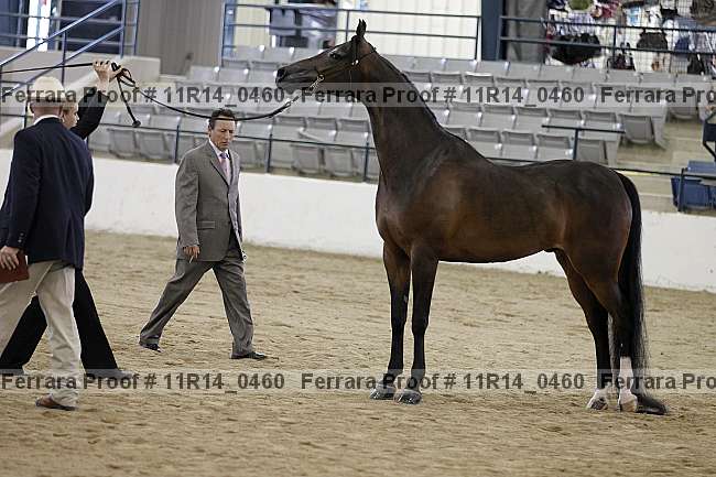 Proof Number 11r14_0460