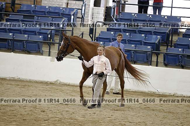 Proof Number 11r14_0466