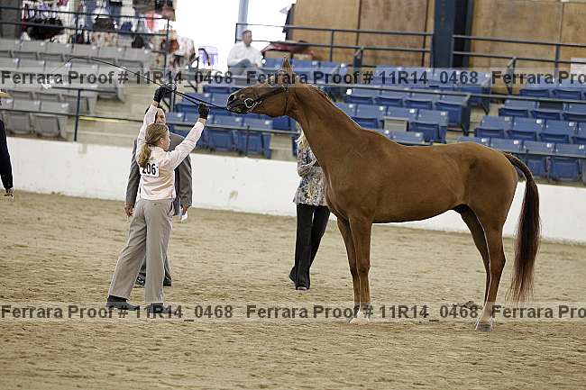 Proof Number 11r14_0468