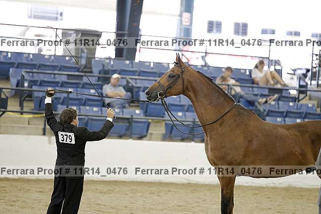 Proof Number 11r14_0476