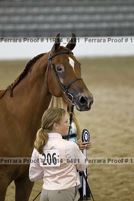 Proof Number 11r14_0481