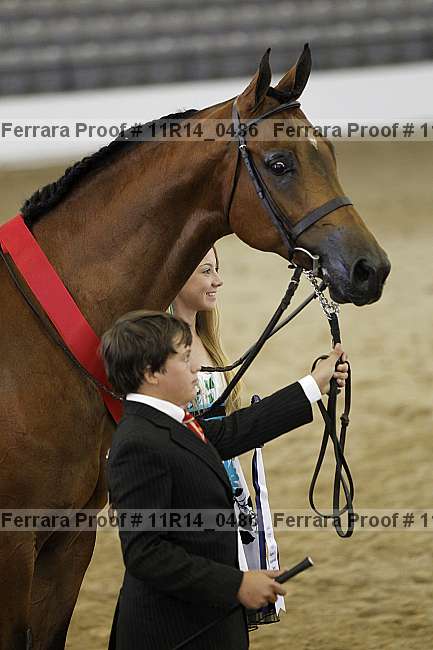 Proof Number 11r14_0486