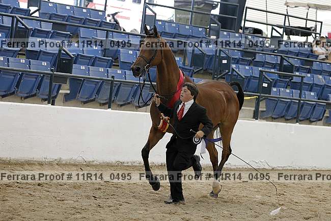 Proof Number 11r14_0495