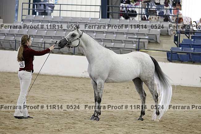 Proof Number 11r14_0524