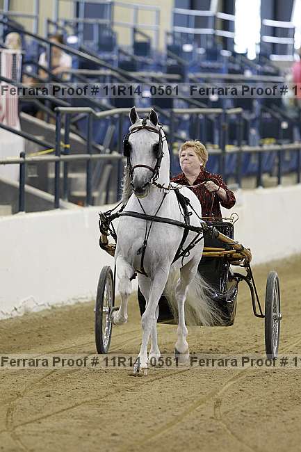 Proof Number 11r14_0561