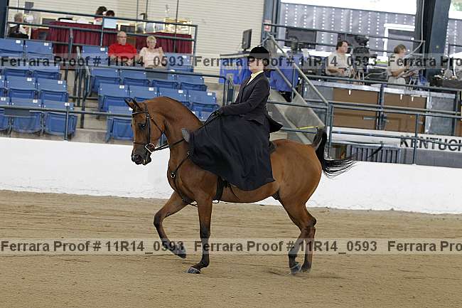 Proof Number 11r14_0593