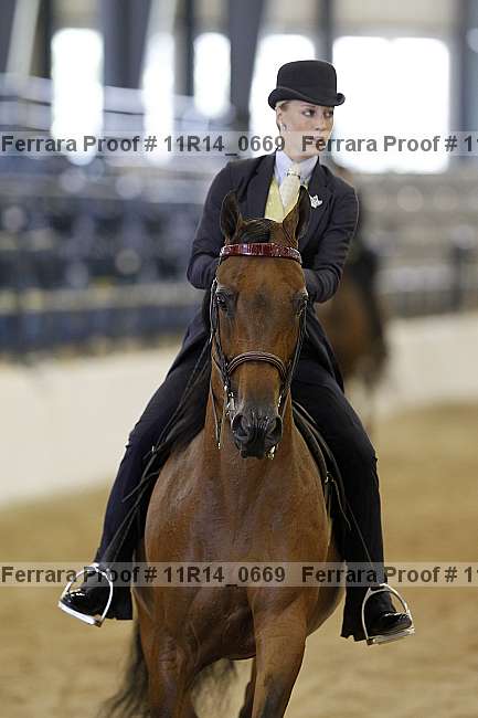 Proof Number 11r14_0669