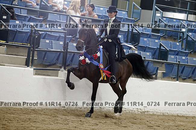 Proof Number 11r14_0724