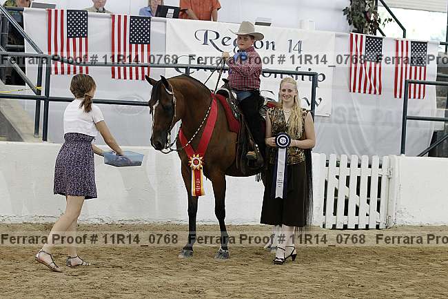 Proof Number 11r14_0768