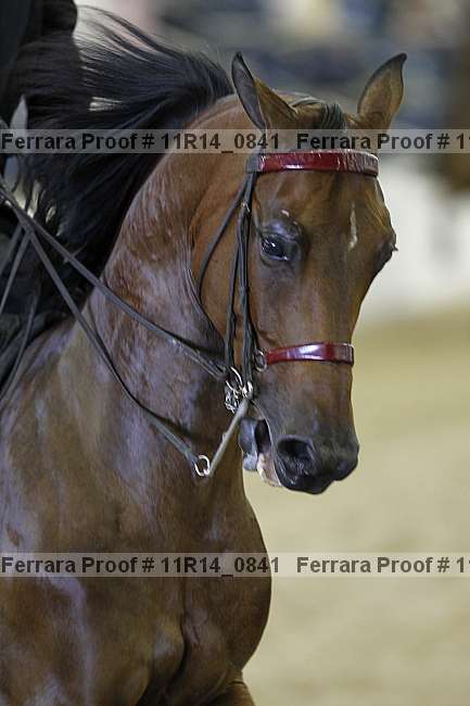 Proof Number 11r14_0841