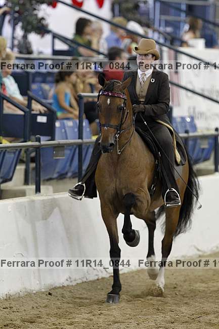 Proof Number 11r14_0844