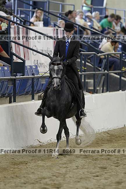 Proof Number 11r14_0849