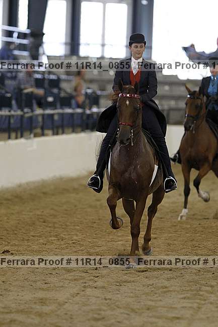 Proof Number 11r14_0855