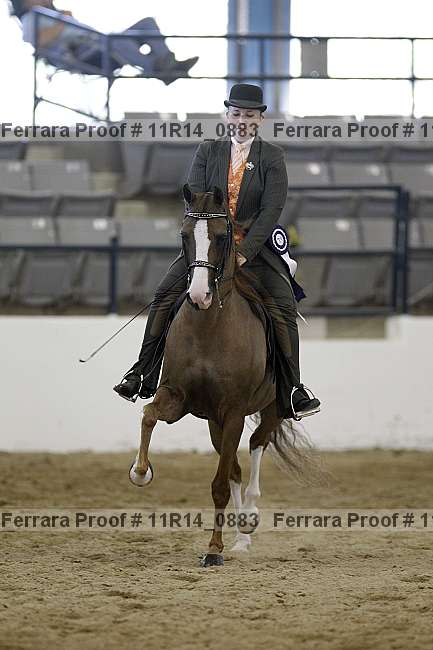 Proof Number 11r14_0883