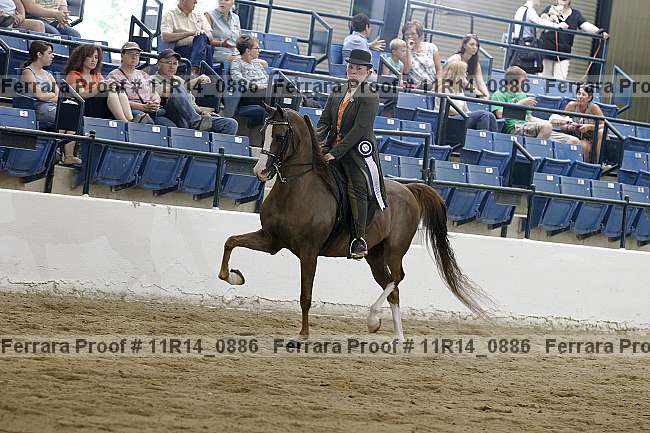 Proof Number 11r14_0886