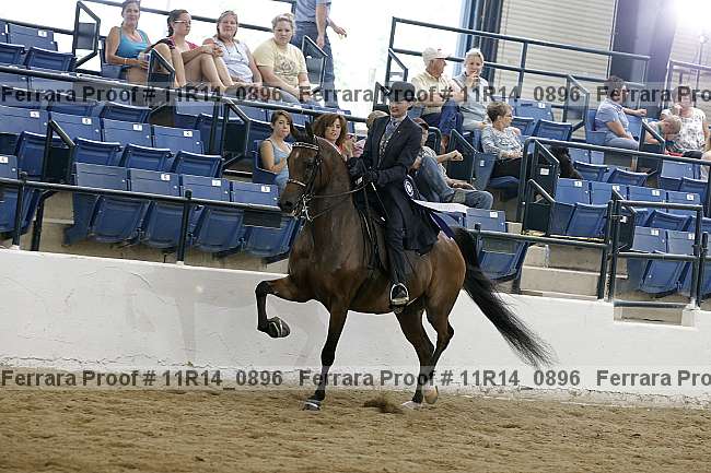 Proof Number 11r14_0896