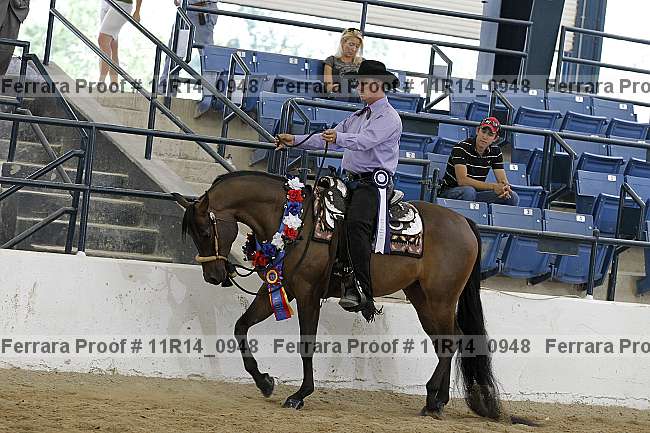 Proof Number 11r14_0948