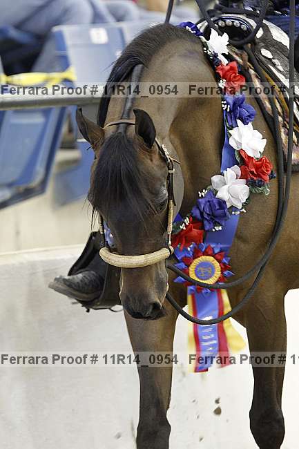 Proof Number 11r14_0954
