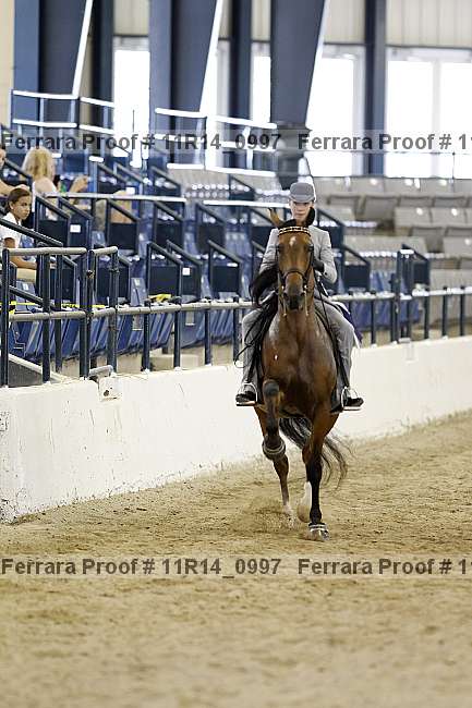 Proof Number 11r14_0997