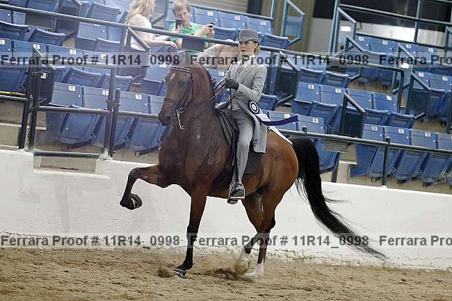 Proof Number 11r14_0998