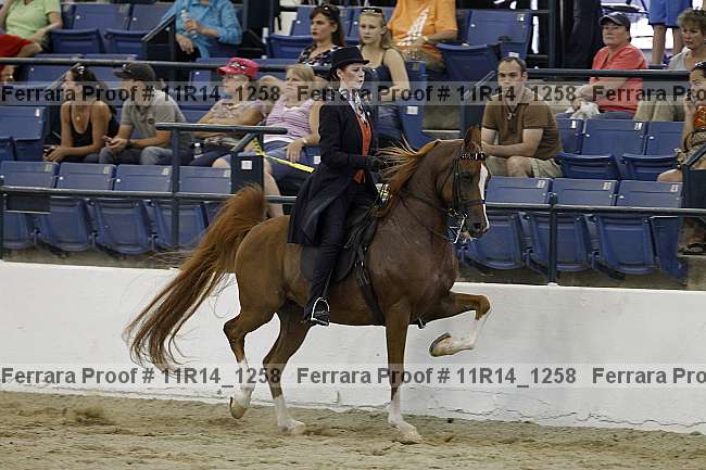 Proof Number 11r14_1258