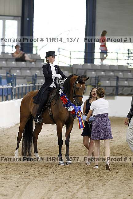 Proof Number 11r14_1377