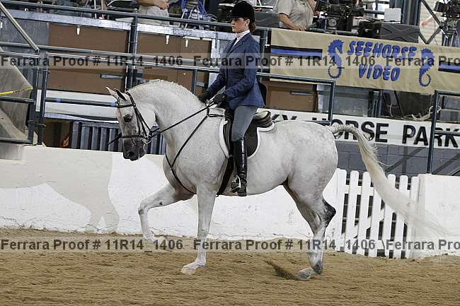 Proof Number 11r14_1406