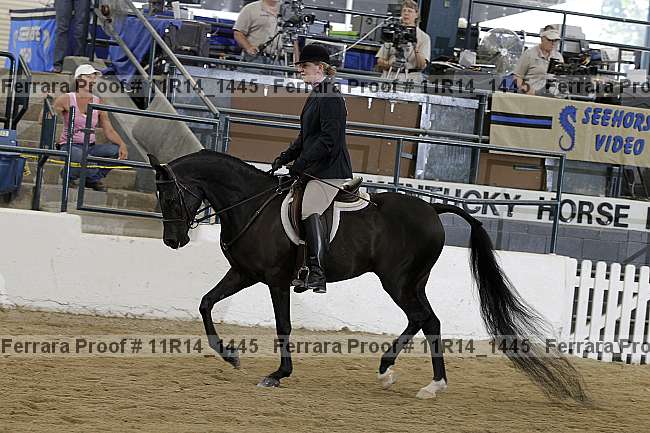 Proof Number 11r14_1445