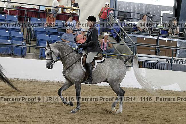 Proof Number 11r14_1446