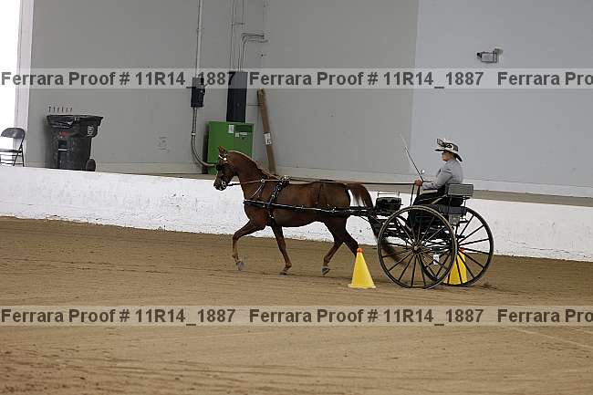 Proof Number 11r14_1887