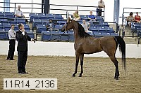 11r14_2136 thumbnail