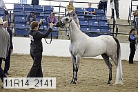 11r14_2141 thumbnail