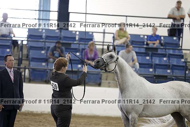 Proof Number 11r14_2142