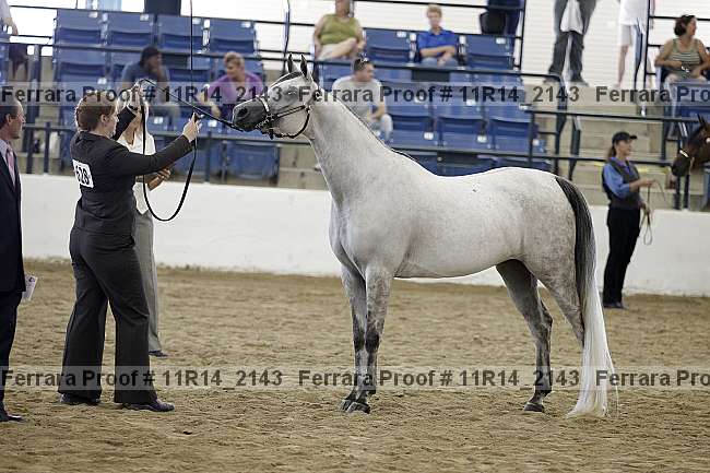 Proof Number 11r14_2143