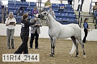 11r14_2144 thumbnail
