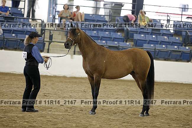 Proof Number 11r14_2147
