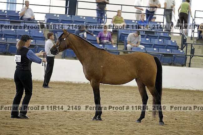 Proof Number 11r14_2149