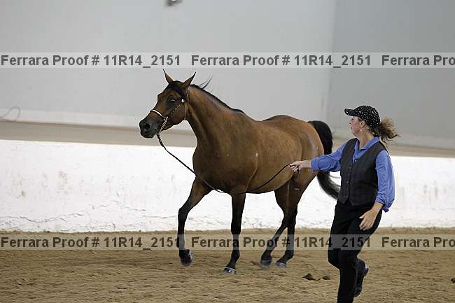 Proof Number 11r14_2151