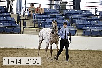 11r14_2153 thumbnail