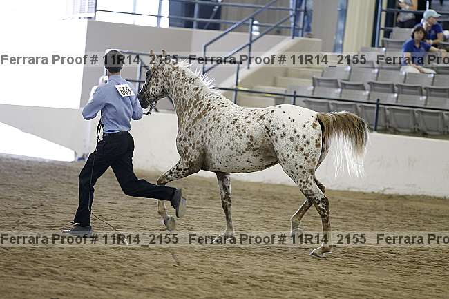 Proof Number 11r14_2155