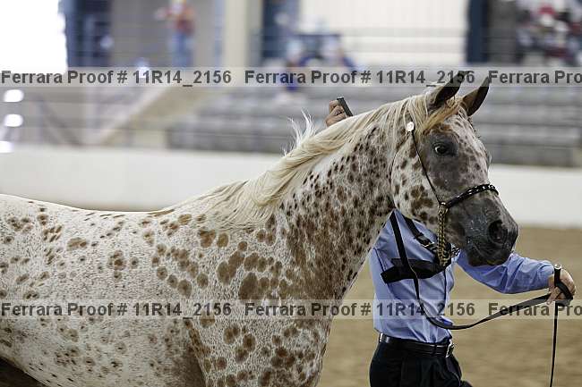 Proof Number 11r14_2156