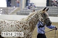 11r14_2156 thumbnail