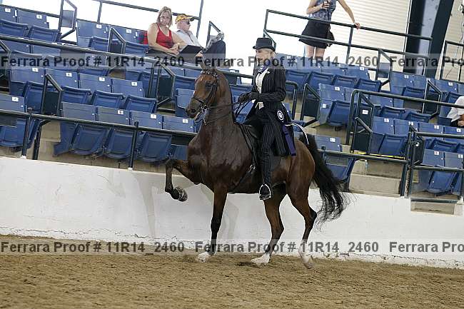 Proof Number 11r14_2460