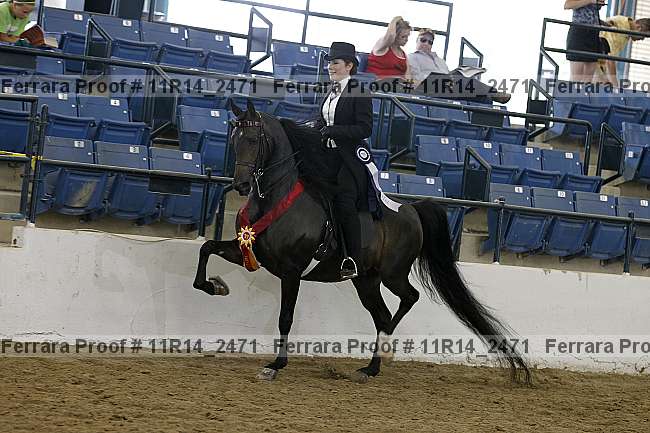 Proof Number 11r14_2471