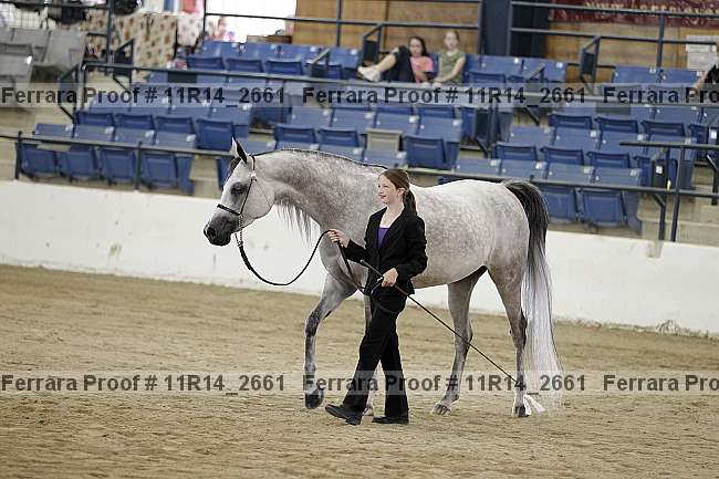 Proof Number 11r14_2661